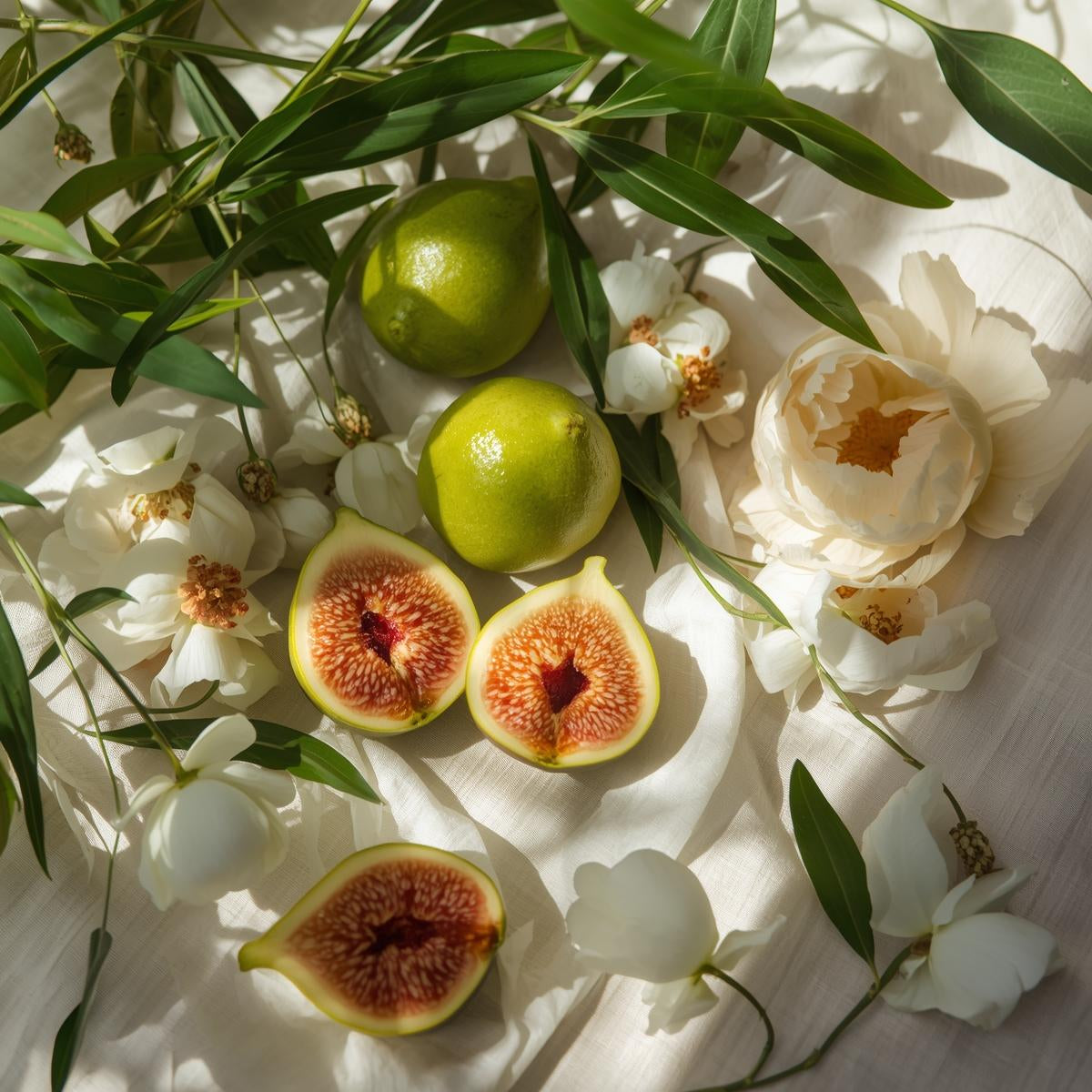 Higo Blanco — White Tea & Fig